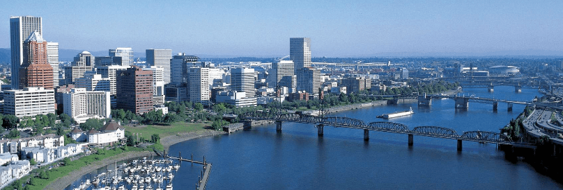 Frog Ferry Mobile Application